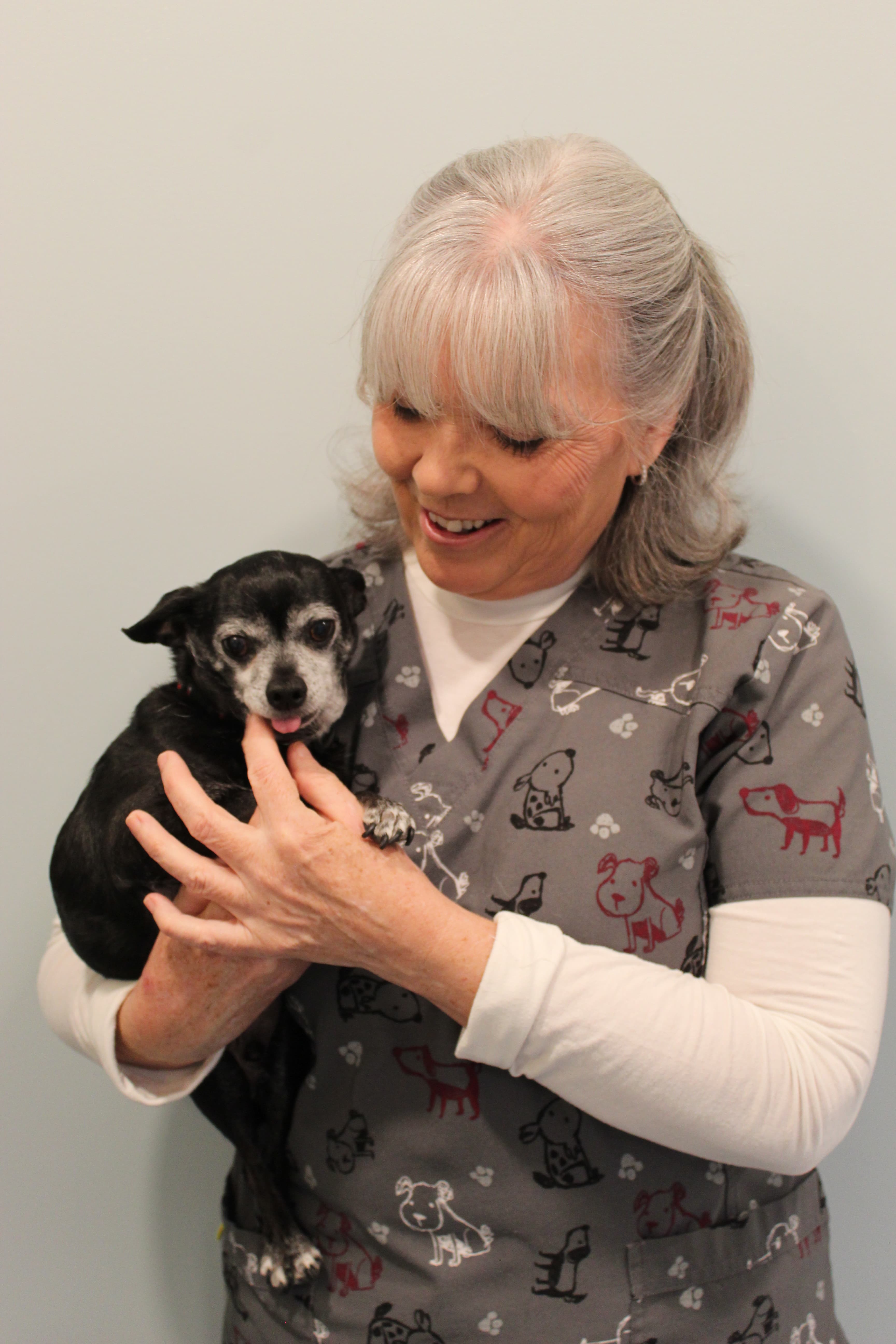Dr. Donna O'Leary, VMD - Compassionate at-home pet euthanasia veterinarian serving Long Island, Brooklyn, and Queens