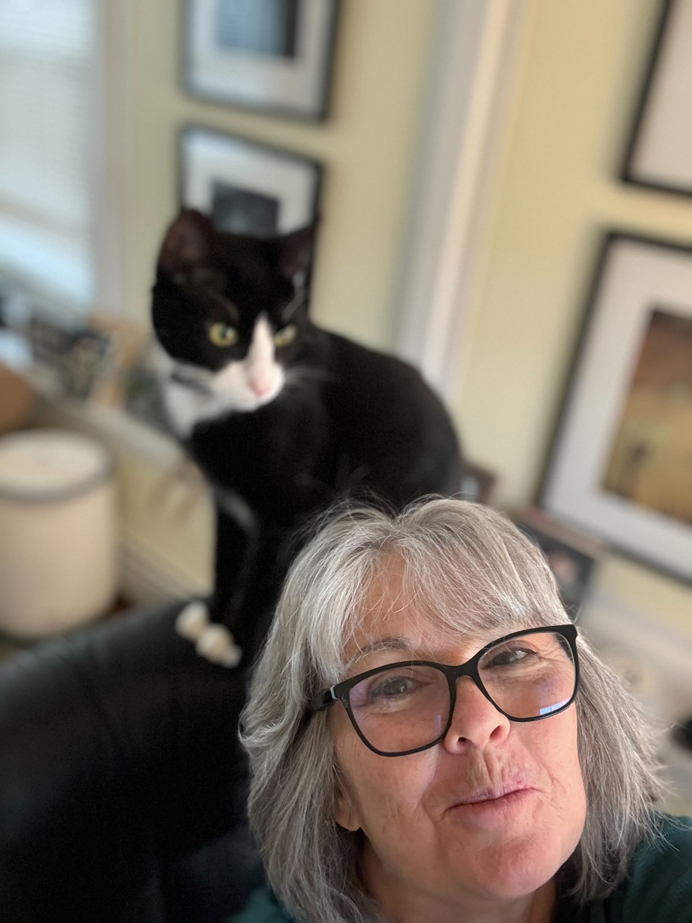 Compassionate at-home pet euthanasia in Long Island, Brooklyn, and Queens - Forever Friends